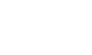 IVMA